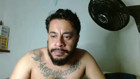 Snapshot of partisano77 chatting on December 31, 2024, 5:44 am Partisano77 online show from December 31, 2024, 5:44 am