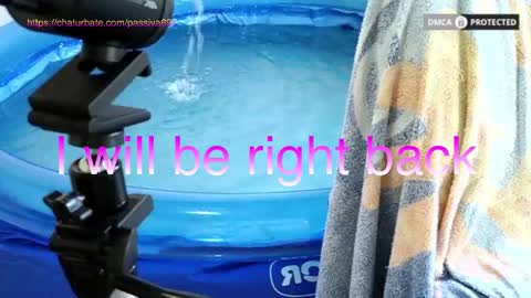 Dome Passiva697 online show from February 1, 2026, 1:42 pm