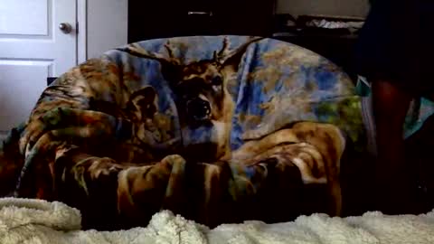 patdaddy12 online show from April 16, 2026, 9:50 pm