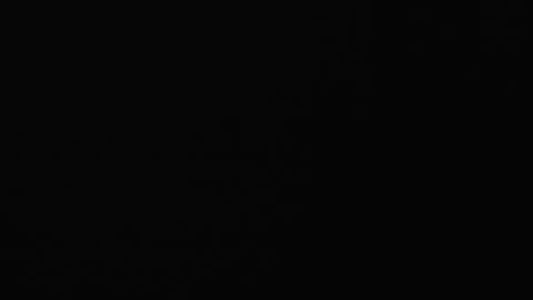 paula online show from February 8, 2025, 9:03 am