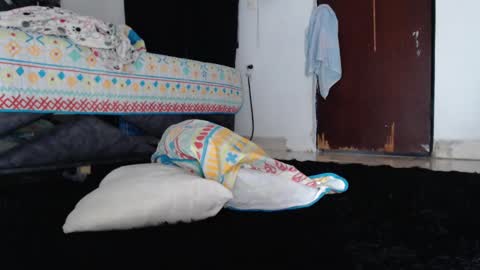 paula_torrez online show from September 17, 2025, 2:08 pm