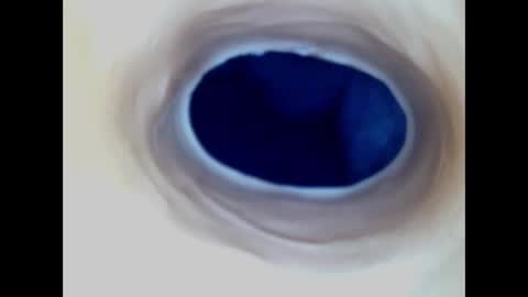 Snapshot of paulainoscente chatting on December 23, 2025, 1:03 am Paula 18 Aninhos online show from December 23, 2025, 1:03 am