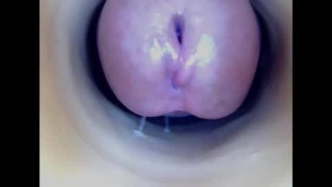 Snapshot of paulainoscente chatting on January 8, 2026, 4:37 am Paula 18 Aninhos online show from January 8, 2026, 4:37 am