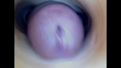 Snapshot of paulainoscente chatting on January 11, 2026, 5:56 am Paula 18 Aninhos online show from January 11, 2026, 5:56 am