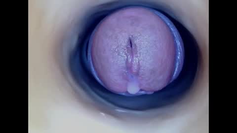 Snapshot of paulainoscente chatting on January 12, 2026, 7:13 am Paula 18 Aninhos online show from January 12, 2026, 7:13 am