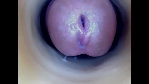 Snapshot of paulainoscente chatting on January 13, 2026, 7:52 pm Paula 18 Aninhos online show from January 13, 2026, 7:52 pm