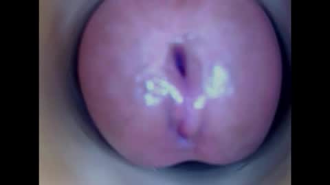 Snapshot of paulainoscente chatting on January 15, 2026, 11:41 pm Paula 18 Aninhos online show from January 15, 2026, 11:41 pm