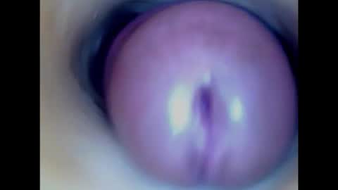 Snapshot of paulainoscente chatting on February 14, 2026, 3:31 pm Paula 18 Aninhos online show from February 14, 2026, 3:31 pm