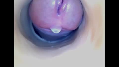 Snapshot of paulainoscente chatting on February 19, 2026, 5:47 am Paula 18 Aninhos online show from February 19, 2026, 5:47 am