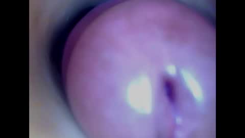 Snapshot of paulainoscente chatting on February 27, 2026, 6:13 am Paula 18 Aninhos online show from February 27, 2026, 6:13 am