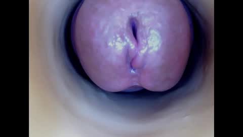 Snapshot of paulainoscente chatting on March 1, 2026, 6:43 pm Paula 18 Aninhos online show from March 1, 2026, 6:43 pm