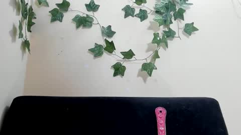 Paulinches online show from February 9, 2026, 8:24 pm