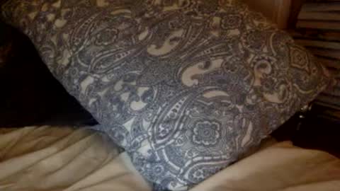 Snapshot of pea23 chatting on February 27, 2026, 11:38 pm pea23 online show from February 27, 2026, 11:38 pm