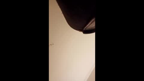 pelekenone online show from April 1, 2026, 4:24 am