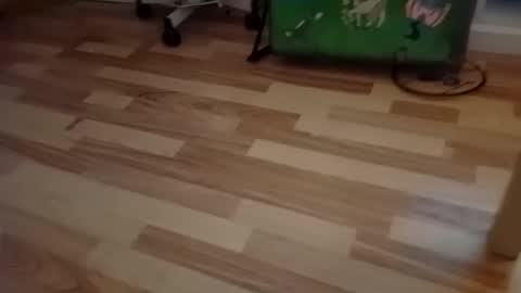 Snapshot of pepe_hard chatting on March 2, 2026, 6:58 am pepe_hard online show from March 2, 2026, 6:58 am