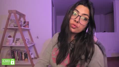 Snapshot of perfect__ana chatting on March 2, 2025, 4:07 am Sarah Ana Banana online show from March 2, 2025, 4:07 am