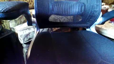 perfecto337 online show from September 11, 2025, 9:04 pm