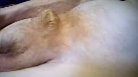 perkybigone79 online show from July 4, 2026, 5:52 pm