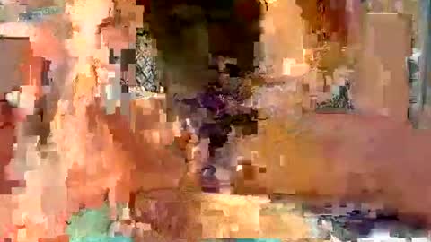 perryf online show from May 9, 2026, 9:14 am
