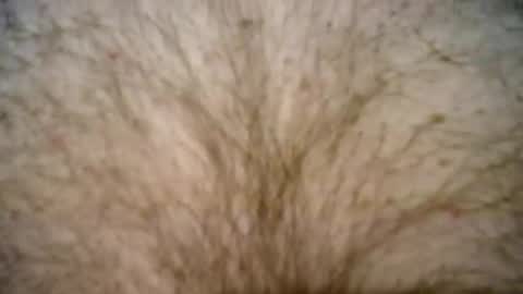 peterpeteropoulos online show from February 27, 2025, 7:37 pm