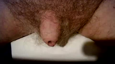 peterpeteropoulos online show from October 21, 2025, 6:41 pm