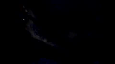 peterson1978 online show from May 20, 2026, 12:06 am