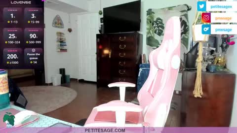 Snapshot of petitesage chatting on December 25, 2024, 11:53 pm petitesage online show from December 25, 2024, 11:53 pm