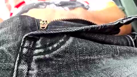 petrisor4jee online show from November 1, 2025, 11:45 am