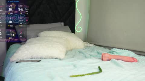 Snapshot of pettercat chatting on January 9, 2025, 4:30 am Pettercat online show from January 9, 2025, 4:30 am