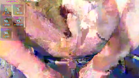 Snapshot of phil_up chatting on January 11, 2026, 2:38 am phil_up online show from January 11, 2026, 2:38 am