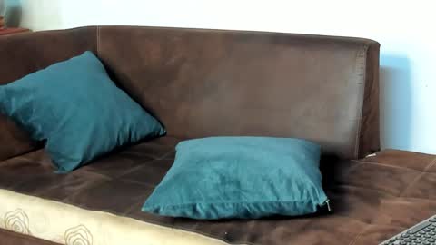 Philip Dalton online show from January 28, 2025, 10:45 pm