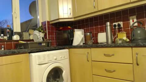 Snapshot of piercedcock069 chatting on January 13, 2026, 5:29 pm piercedcock069 online show from January 13, 2026, 5:29 pm