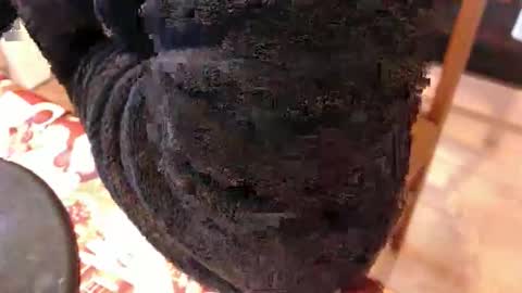 Snapshot of piercedcock069 chatting on January 17, 2026, 10:09 am piercedcock069 online show from January 17, 2026, 10:09 am