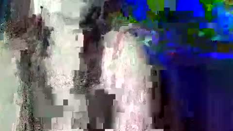 Carol online show from June 9, 2026, 3:01 pm