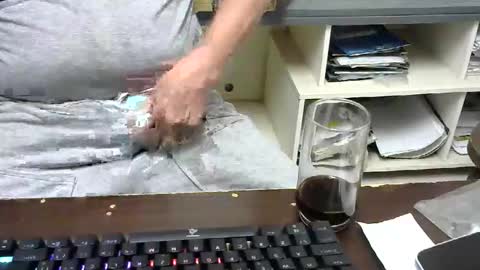 Snapshot of pinheiro86 chatting on November 26, 2025, 11:22 am pinheiro86 online show from November 26, 2025, 11:22 am