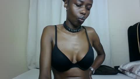 Snapshot of pinkie_ponny chatting on February 19, 2025, 4:44 am Pinkie online show from February 19, 2025, 4:44 am