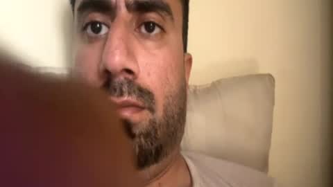 pipi144 online show from August 3, 2026, 11:15 am