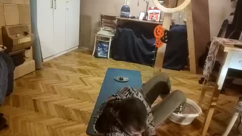 Dominik online show from December 20, 2025, 12:56 pm