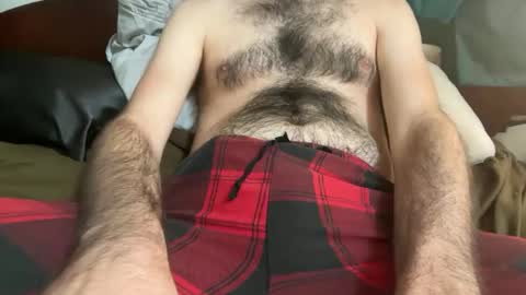 Snapshot of pistilstamen chatting on December 4, 2025, 6:49 pm pistilstamen online show from December 4, 2025, 6:49 pm