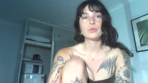 Snapshot of pixiecatfairy chatting on December 4, 2025, 12:03 pm pixiecatfairy online show from December 4, 2025, 12:03 pm