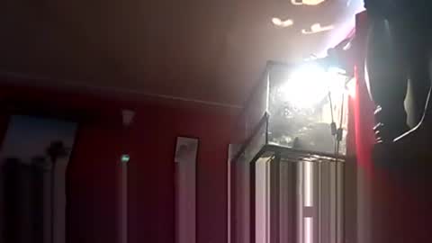 SEX ADDICTION WANNA MEET online show from December 19, 2024, 6:34 pm