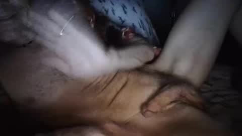 Snapshot of playdaddy756210 chatting on March 12, 2026, 2:50 am playdaddy756210 online show from March 12, 2026, 2:50 am