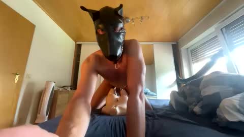 Snapshot of playdog123 chatting on September 21, 2025, 11:56 am playdog123 online show from September 21, 2025, 11:56 am