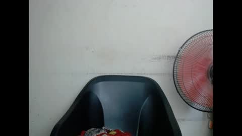 plumnjuicyx online show from February 15, 2025, 6:02 am