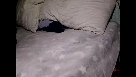 pollachico online show from November 28, 2025, 8:06 am