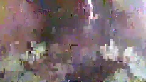 Snapshot of pollexxx66 chatting on January 28, 2025, 1:59 pm Paul online show from January 28, 2025, 1:59 pm