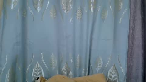 Snapshot of pookie245909 chatting on June 2, 2026, 5:59 pm pookie245909 online show from June 2, 2026, 5:59 pm