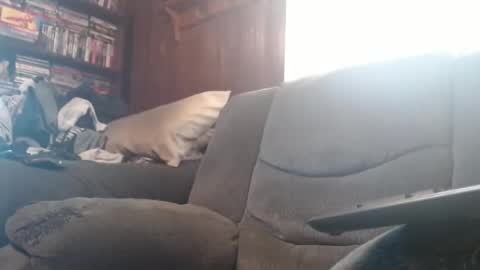 Snapshot of porkingit400 chatting on February 14, 2025, 5:14 pm porkingit400 online show from February 14, 2025, 5:14 pm