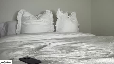 Selena online show from January 27, 2025, 12:33 am