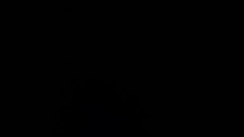 pponyred online show from July 29, 2026, 3:04 am